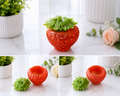 Resin Strawberry