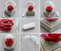 Rose Lamp